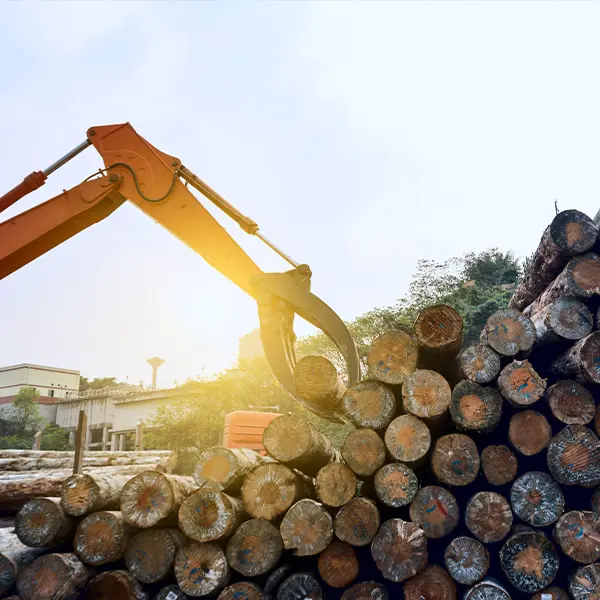 Forestry Forestry